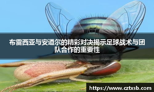 布雷西亚与安道尔的精彩对决揭示足球战术与团队合作的重要性